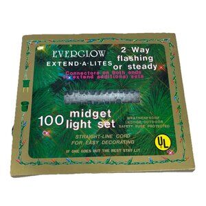 VTG Everglow Extend-A-lites Flashing Steady 100 Count Midget Holiday Lights NOS